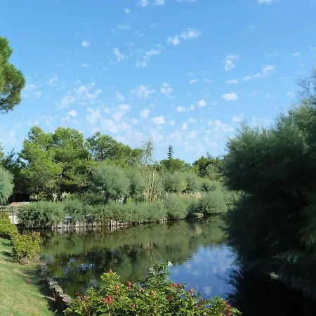 In 31386 * 리그나노 사비아도로