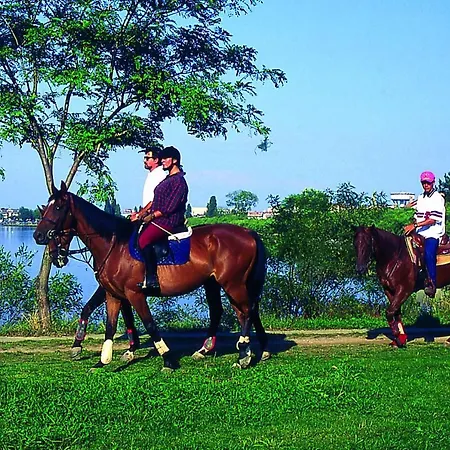 아파트 In 31386 *