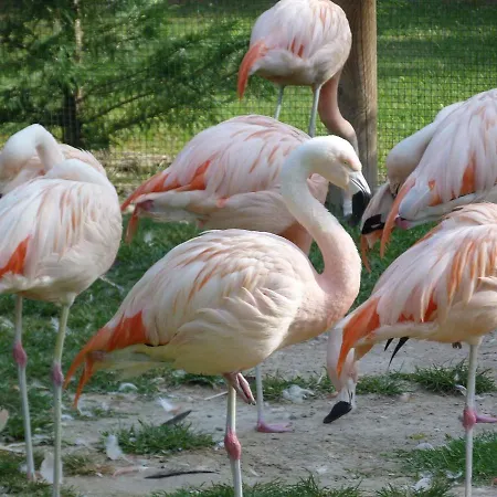 アパート In 31386